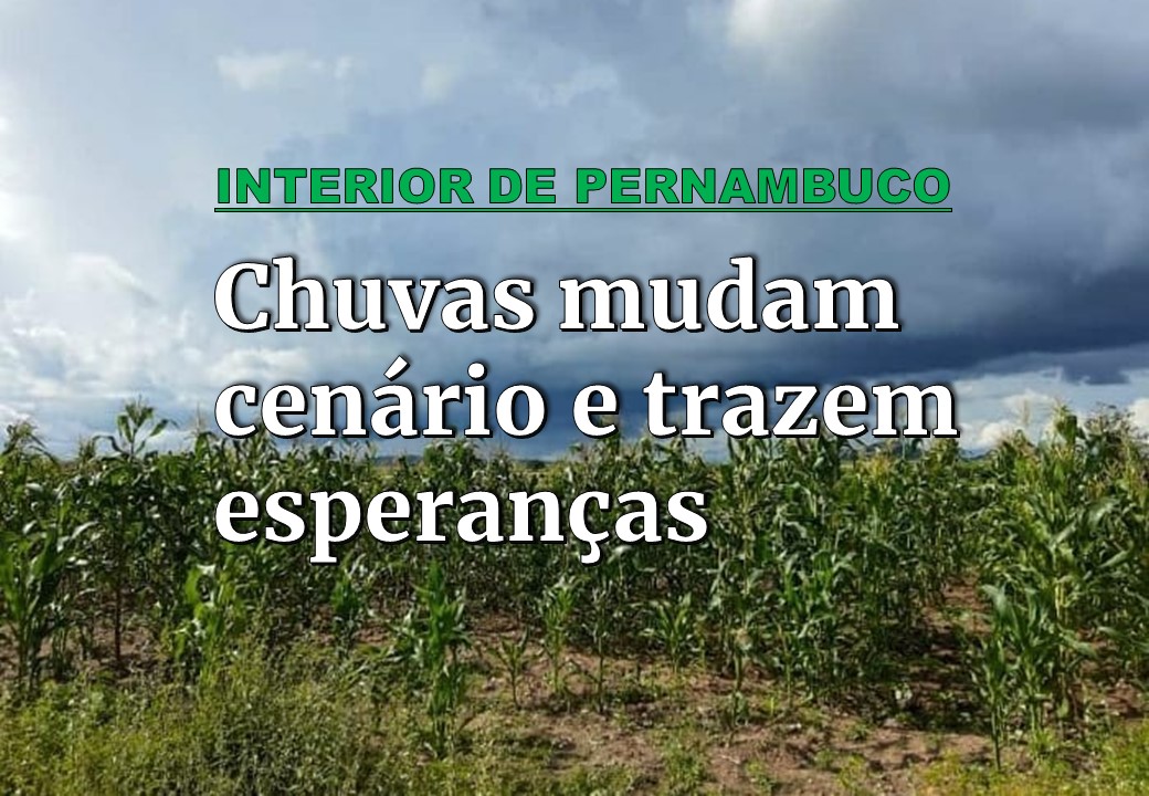 CHUVAS TRAZEM UM NOVO CENÁRIO E ESPERANÇAS AO INTERIOR DE PERNAMBUCO