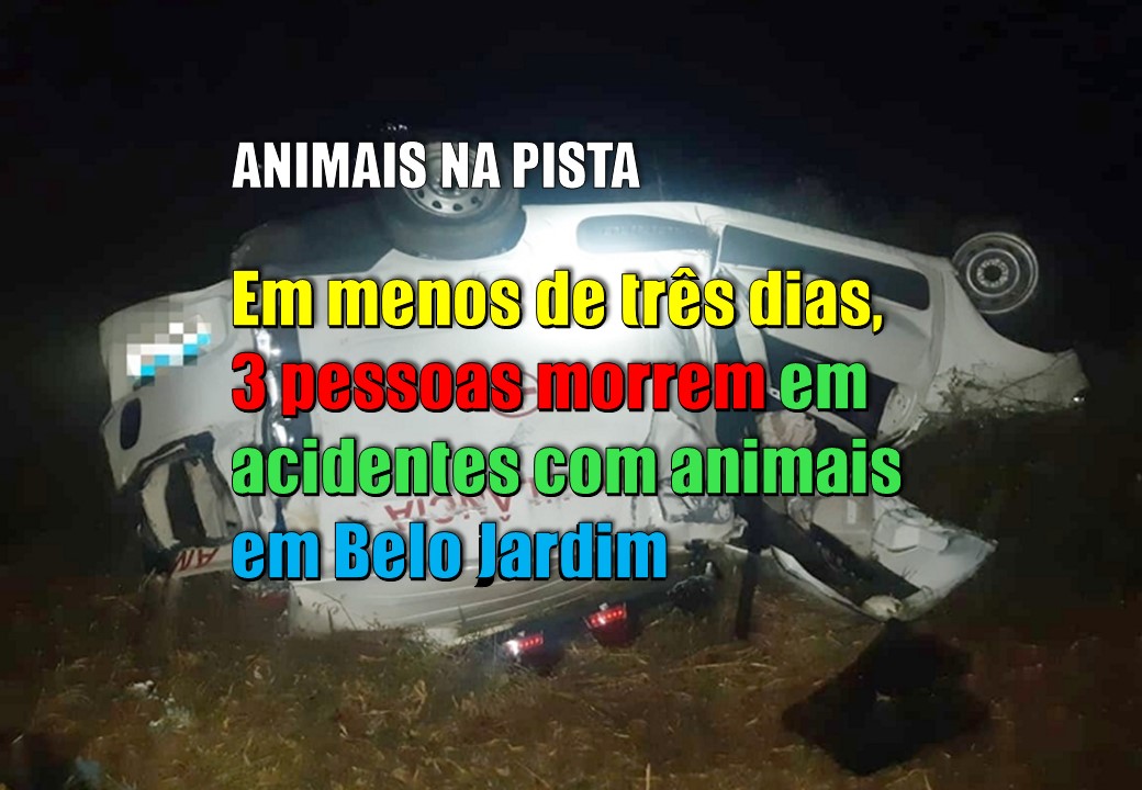 Em menos de três dias, três pessoas morreram em acidentes com animais em Belo Jardim (PE)