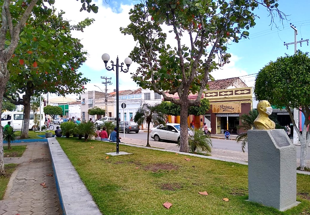 Alagoinha comemora o Dia da Árvore e mostra consciência