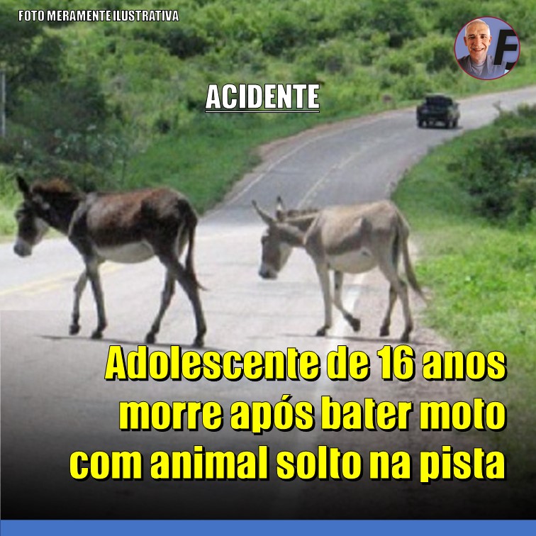 MENOR | Adolescente de 16 anos morre após bater moto com animal na pista