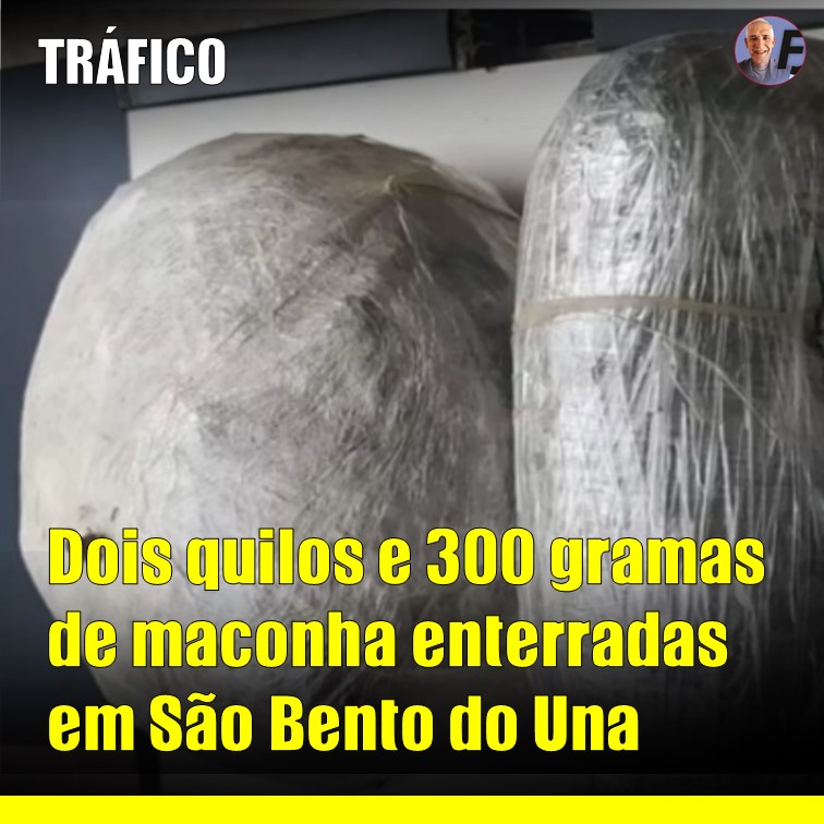 DROGA| Dois quilos e trezentos gramas de maconha encontrados enterrados pela Polícia em São Bento do Una (PE)