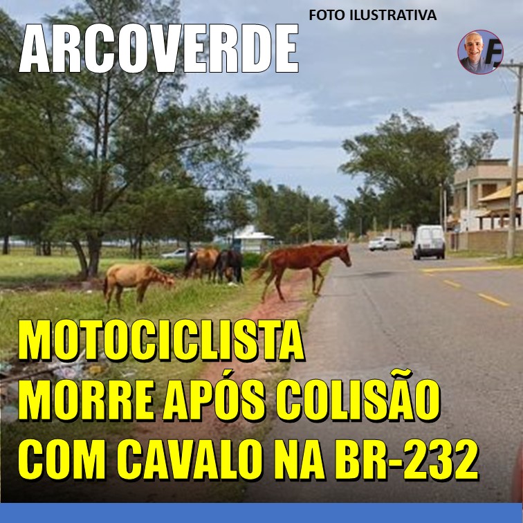 COLISÃO | Cavalo solto na BR-232 causa morte de motociclista em Arcoverde