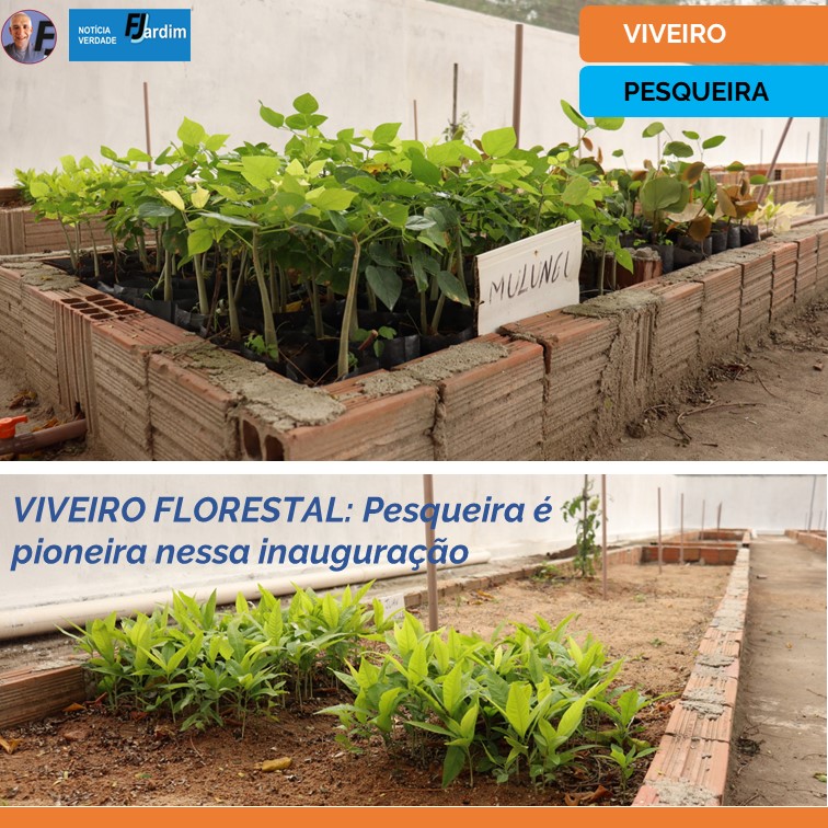 VIVEIRO FLORESTAL | Pesqueira é pioneira nessa inauguração