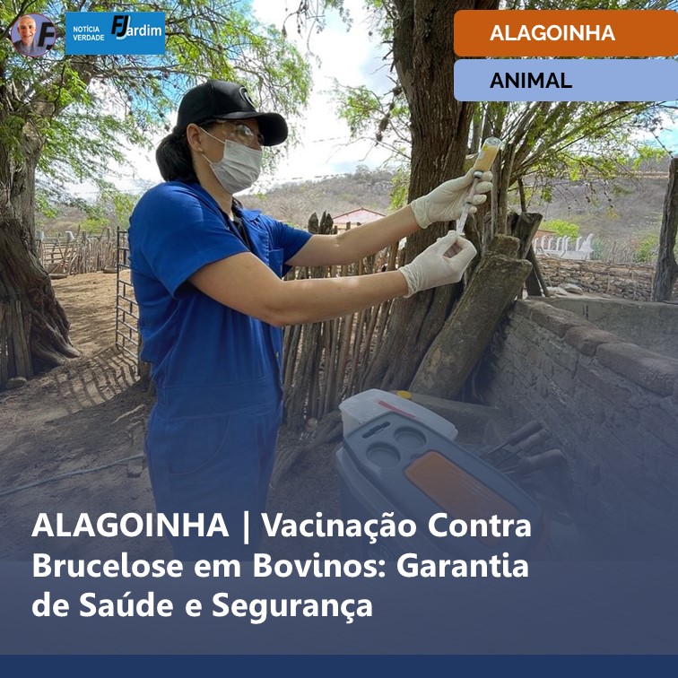 ALAGOINHA EM AÇÃO | Vacinação Contra Brucelose em Bovinos Garantia Saúde e Segurança