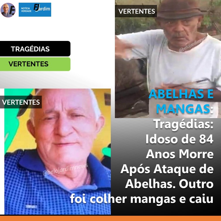 ABELHAS E MANGA | Tragédias: Idoso de 84 Anos Morre Após Ataque de Abelhas. Outro foi colher mangas e caiu.