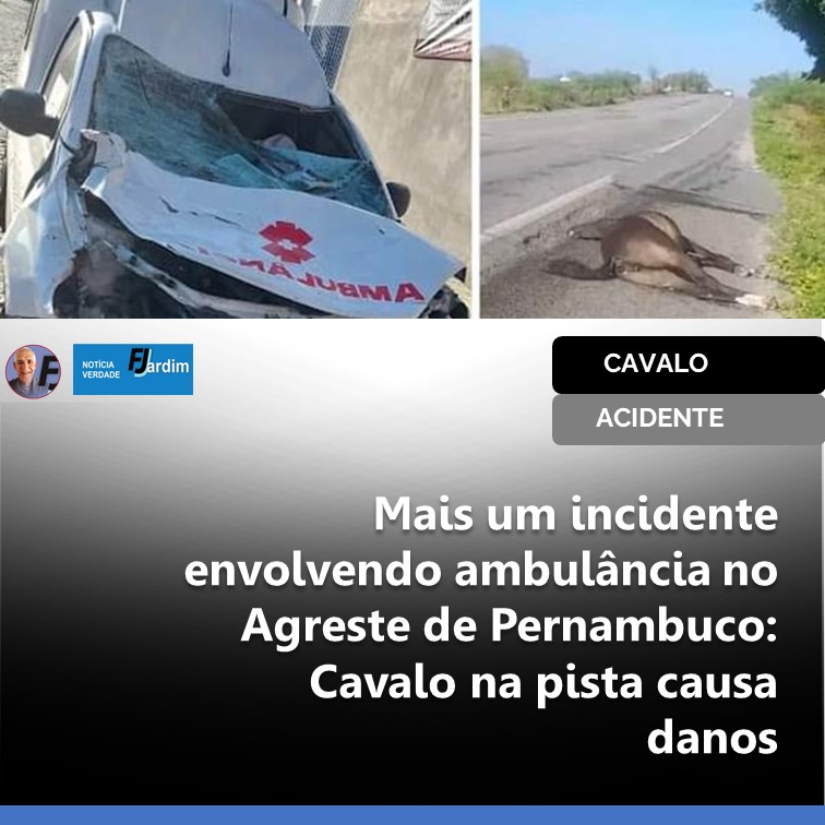 CAVALO | Mais um incidente envolvendo ambulância no Agreste de Pernambuco: Cavalo na pista causa danos