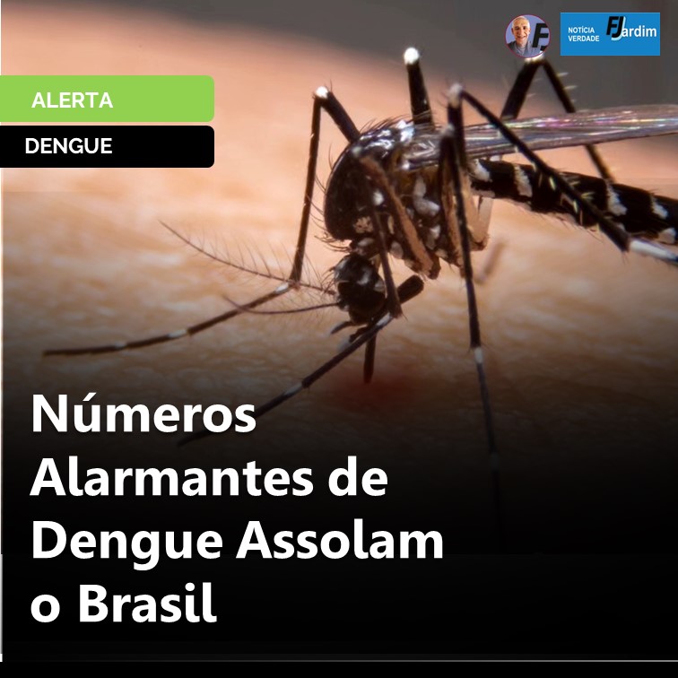 ALERTA DE SAÚDE | Números Alarmantes de Dengue Assolam o Brasil