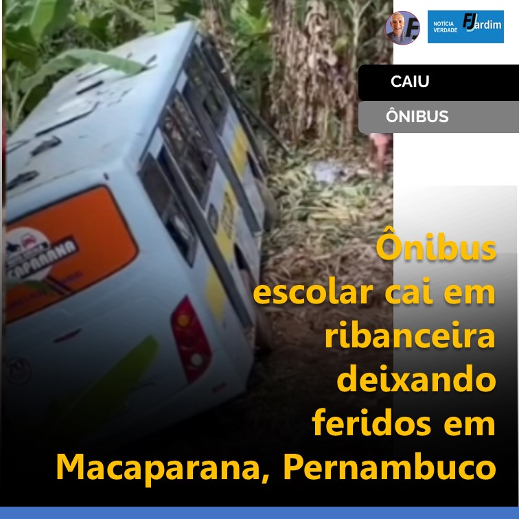 CAIU | Ônibus escolar cai em ribanceira deixando feridos em Macaparana, Pernambuco