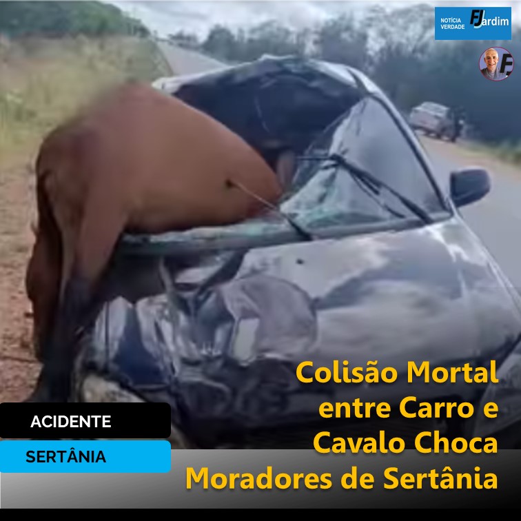 TRAGÉDIA NA ESTRADA | Colisão Mortal entre Carro e Cavalo Choca Moradores de Sertânia