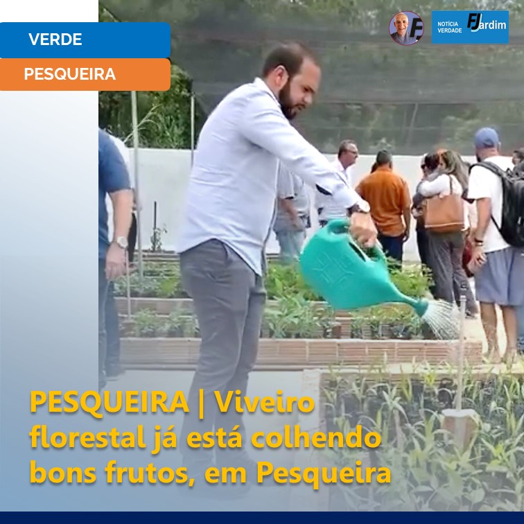 PESQUEIRA | Viveiro florestal já está colhendo bons frutos, em Pesqueira