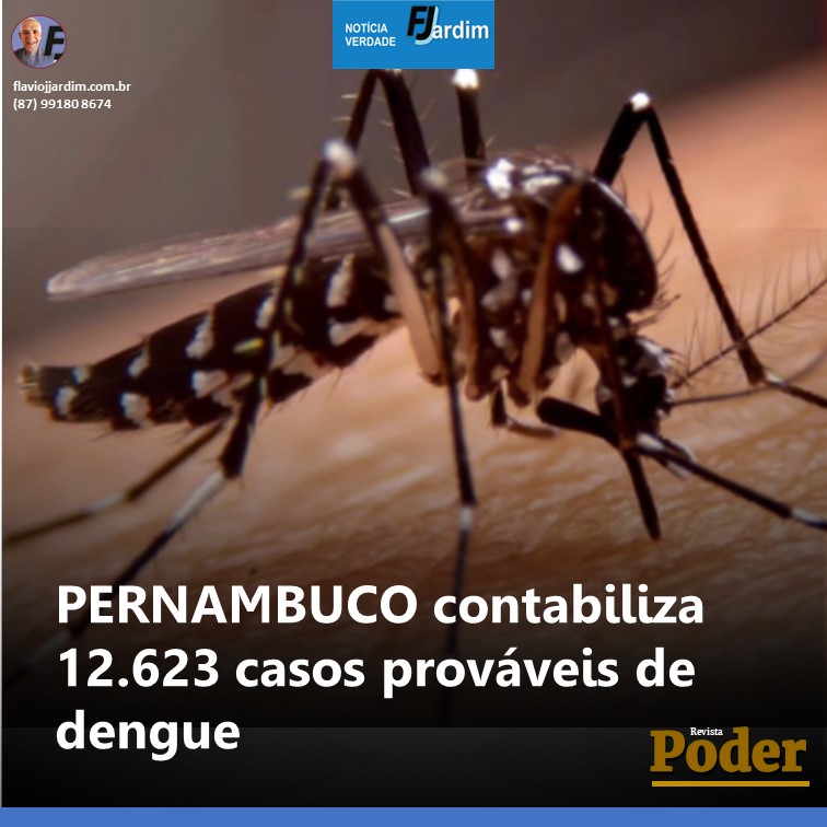 12.623 CASOS | Situação alarmante: Pernambuco registra aumento significativo de casos de Dengue
