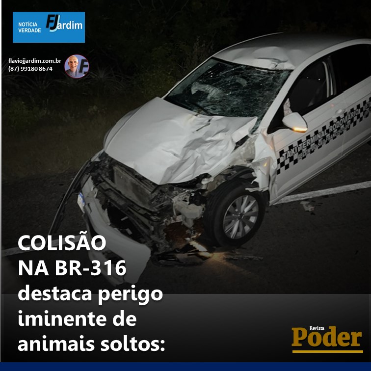 COLISÃO NA BR-316 destaca perigo iminente de animais soltos: Autoridades pressionadas por medidas preventivas