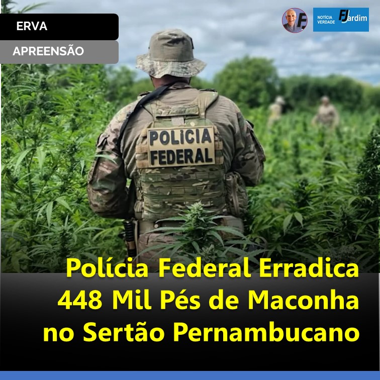 Polícia Federal Erradica 448 Mil Pés de Maconha no Sertão Pernambucano