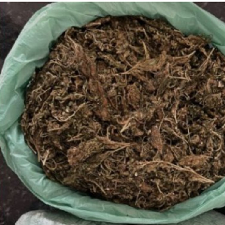 maconha