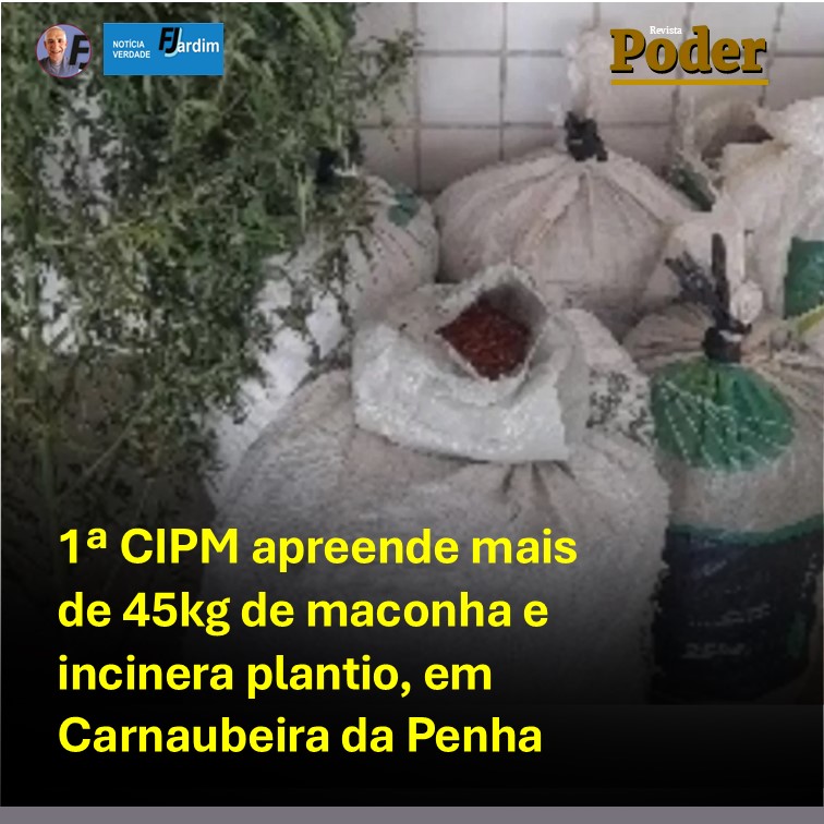 1ª CIPM apreende mais de 45kg de maconha e incinera plantio, em Carnaubeira da Penha
