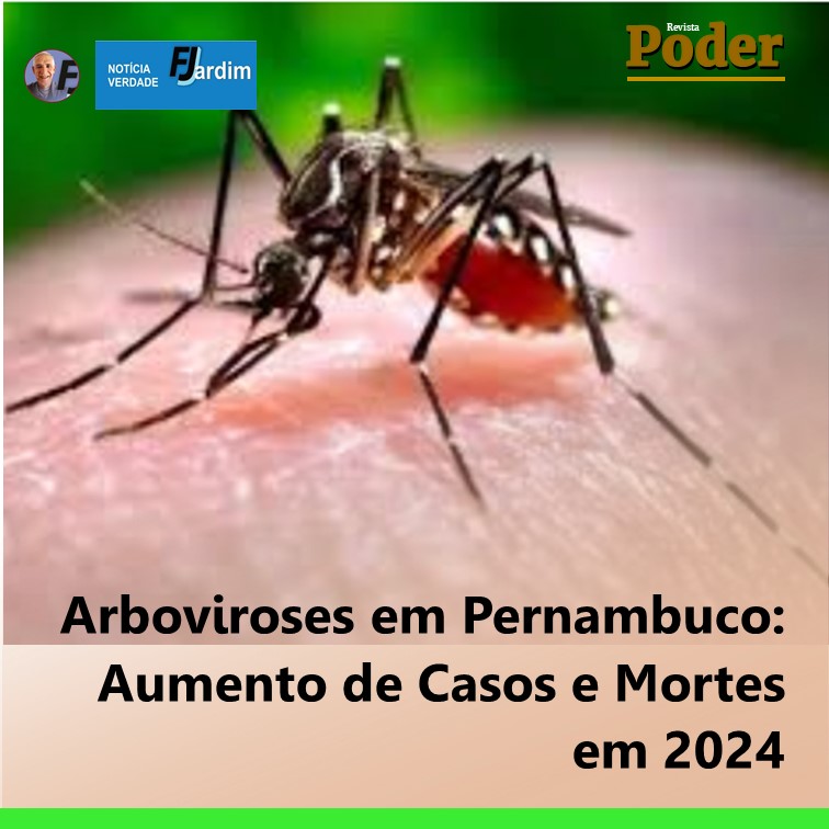 Arboviroses em Pernambuco: Aumento de Casos e Mortes em 2024