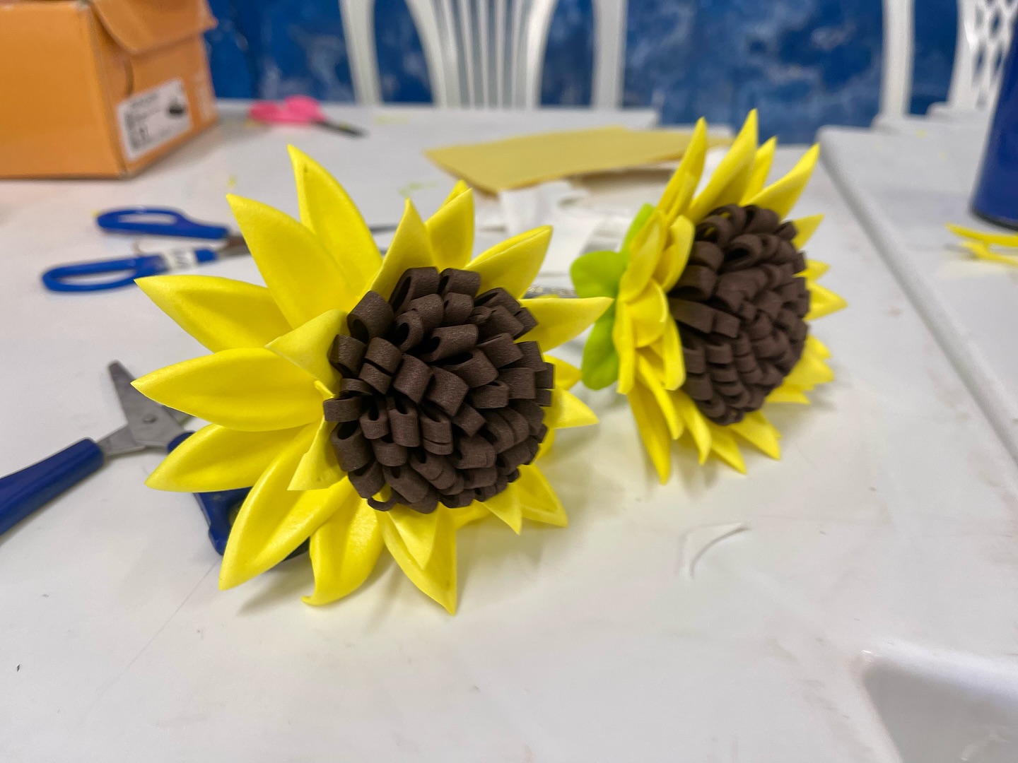 alagoinha