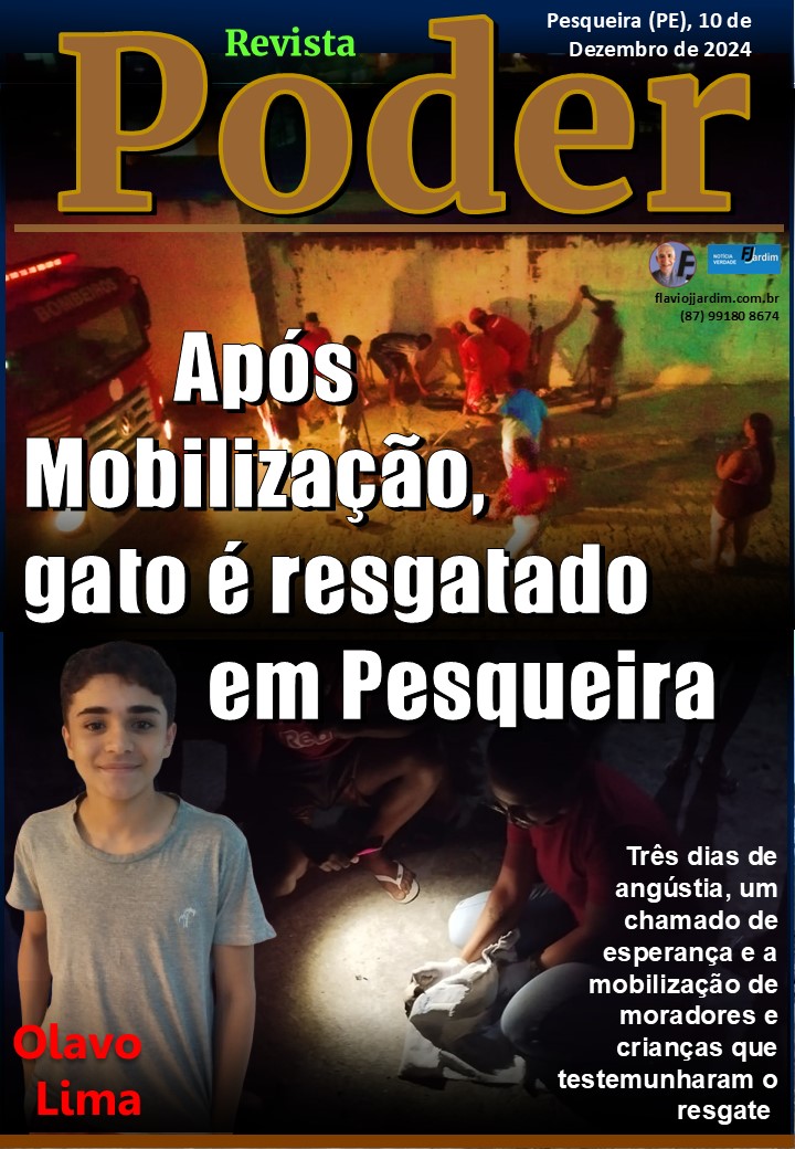 Gatinho Preso em Esgoto é Resgatado e Mobiliza Toda uma Comunidade: Um Ato de Esperança e Solidariedade no Bairro Centenário