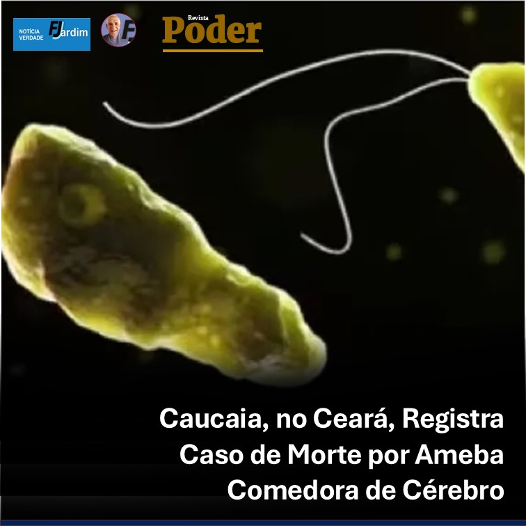 Caucaia, no Ceará, Registra Caso de Morte por Ameba Comedora de Cérebro