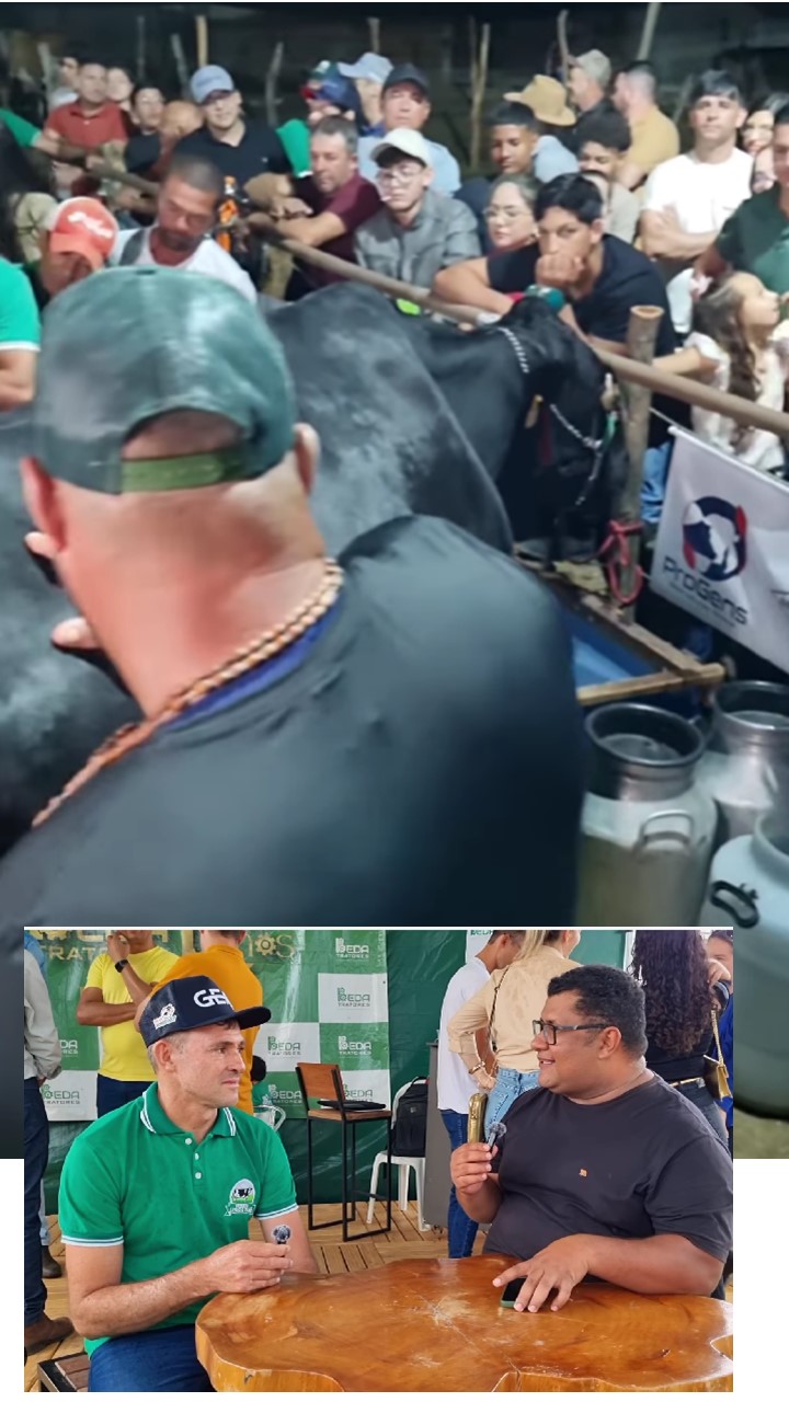 vaca