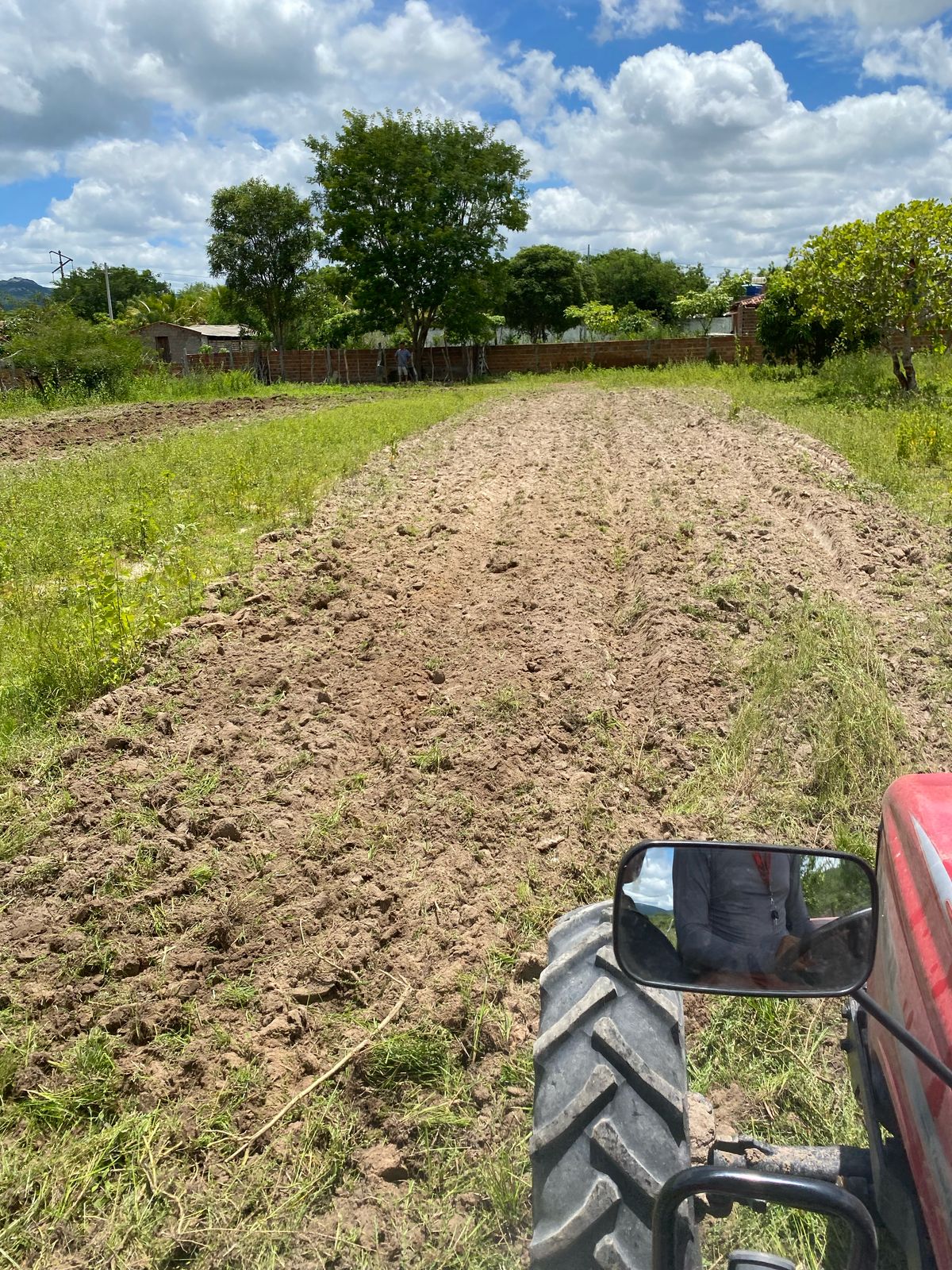 agricultura