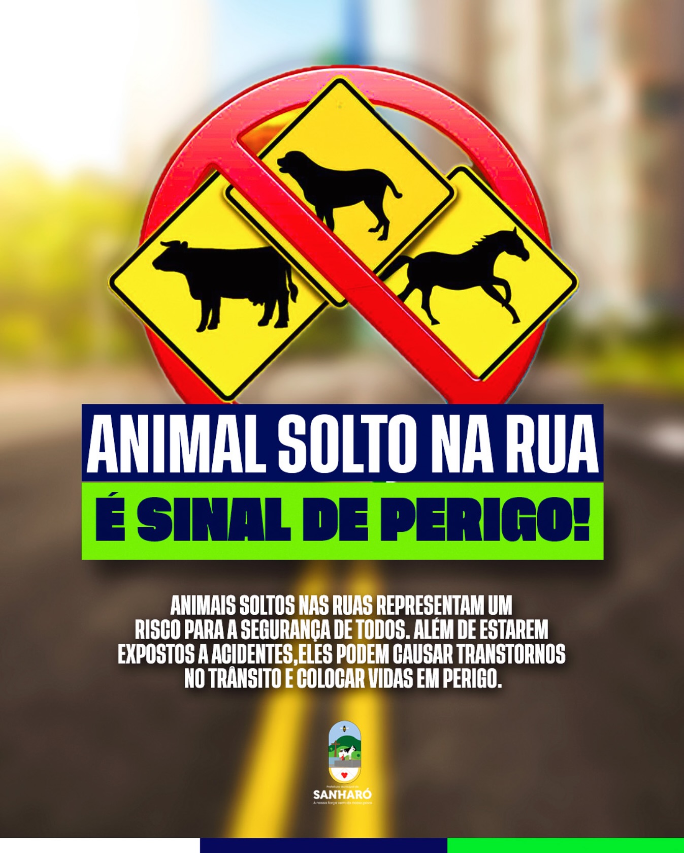 aniimais