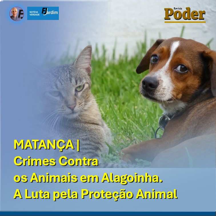 Nota de Repúdio: Crimes Contra os Animais em Alagoinha – A Luta pela Proteção Animal