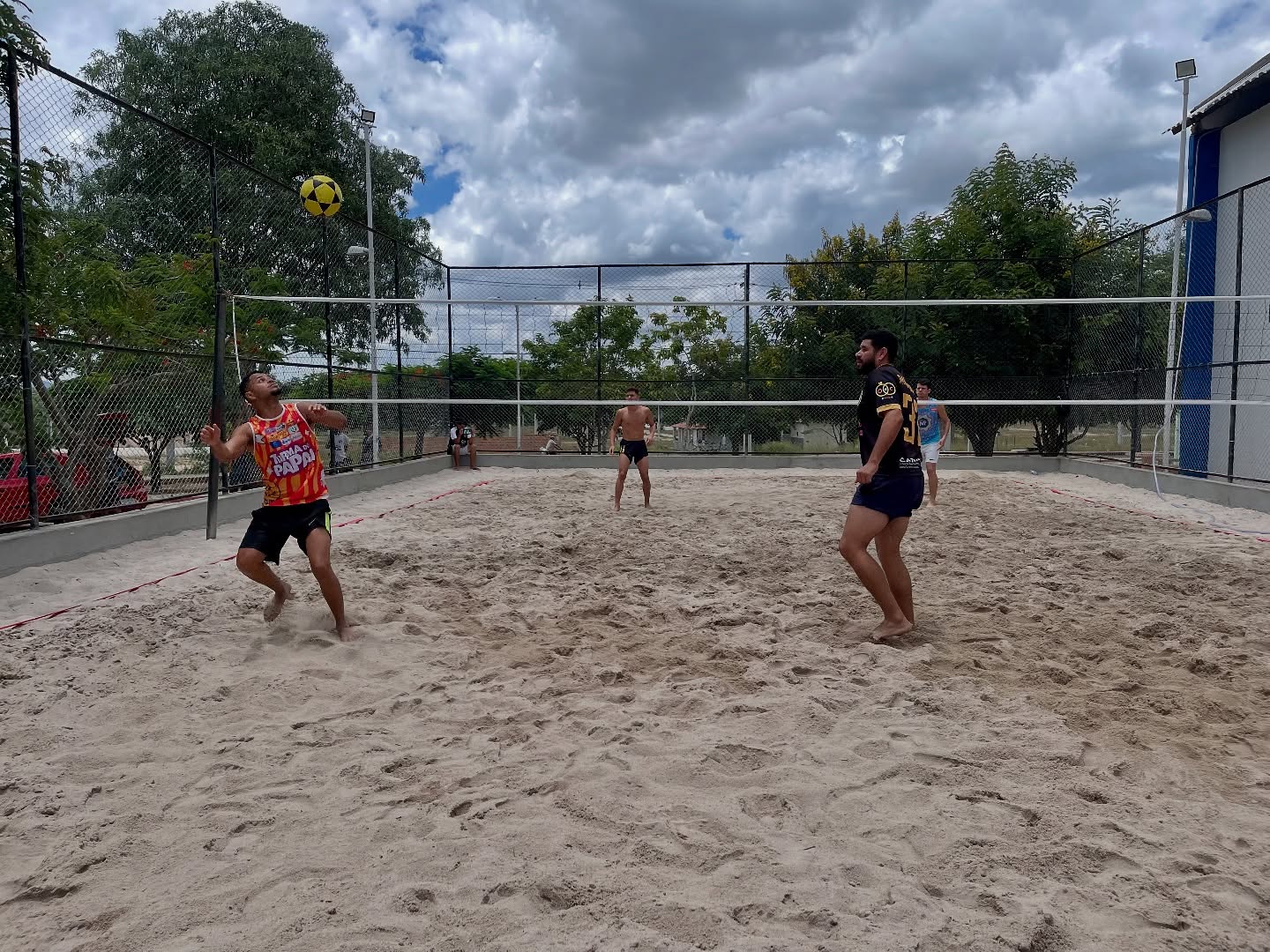 volei