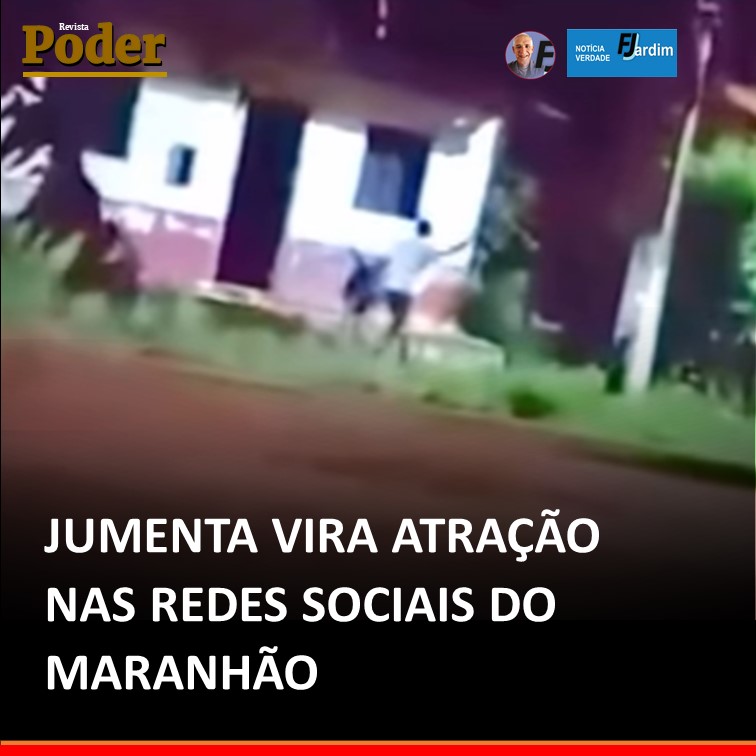 JUMENTA VIRA ATRAÇÃO NAS REDES SOCIAIS DO MARANHÃO