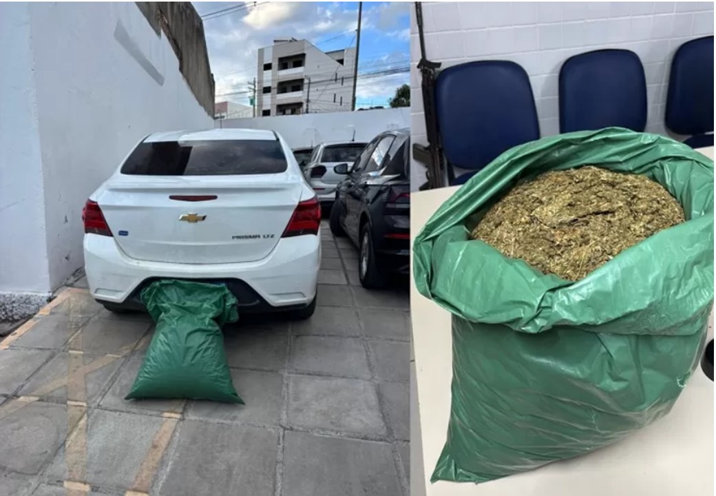 maconha