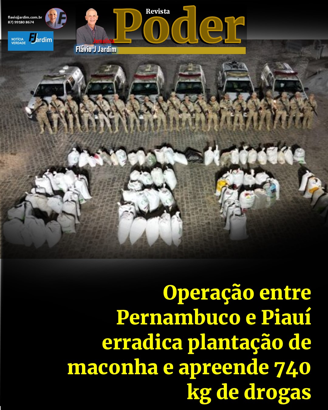 Operação entre Pernambuco e Piauí erradica plantação de maconha e apreende 740 kg de drogas