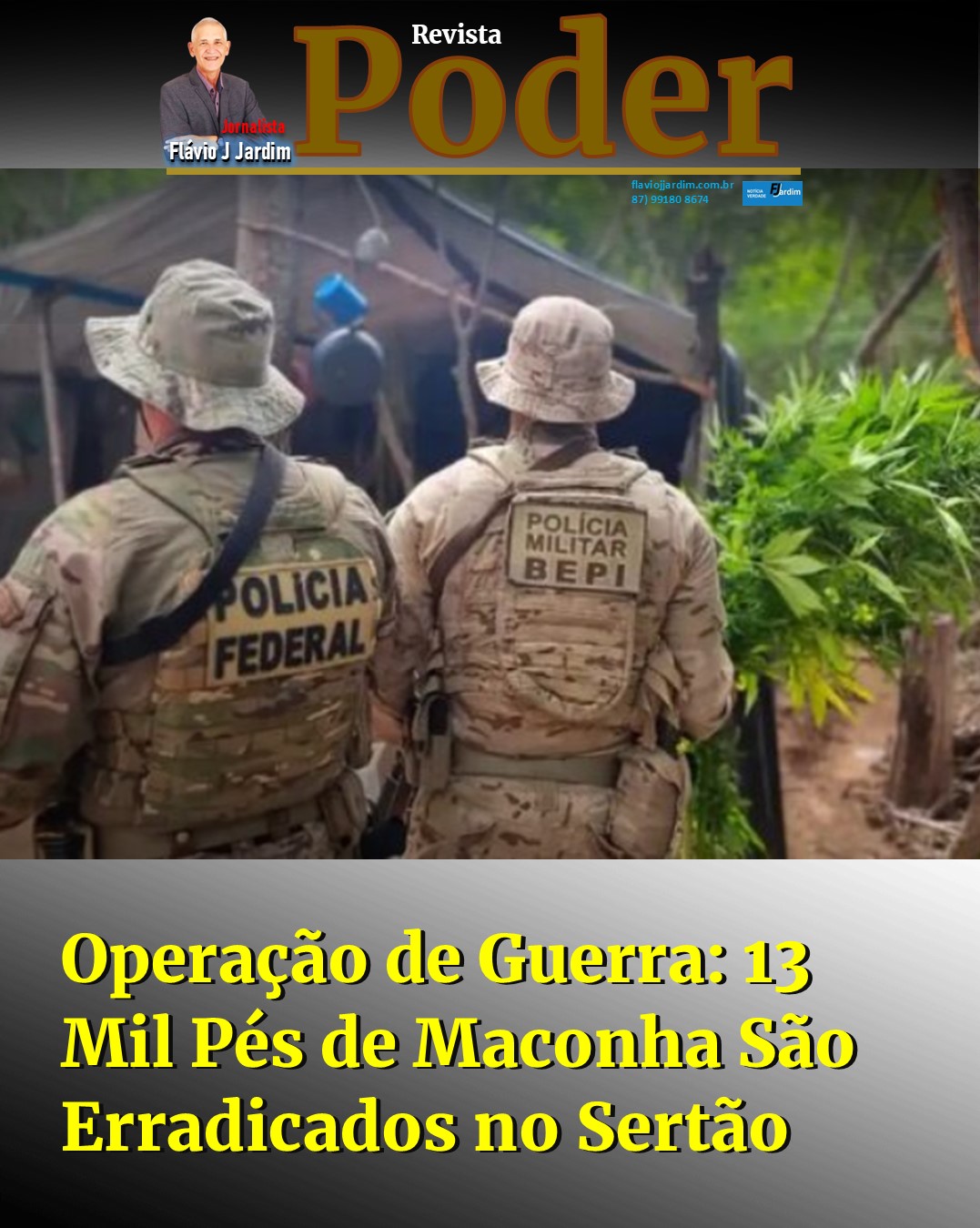 Operação de Guerra: 13 Mil Pés de Maconha São Erradicados no Sertão