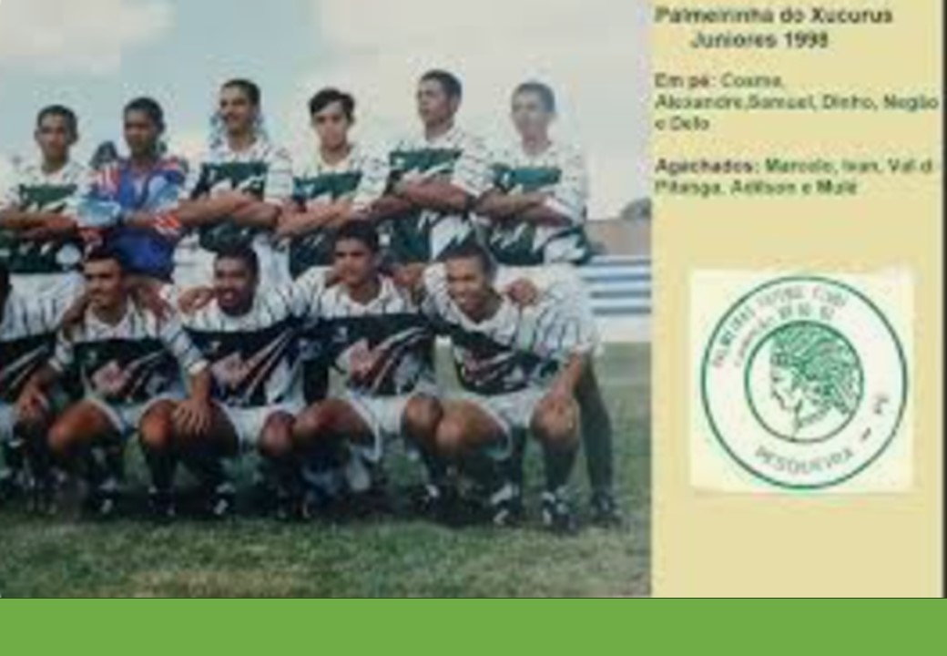 palemeiras