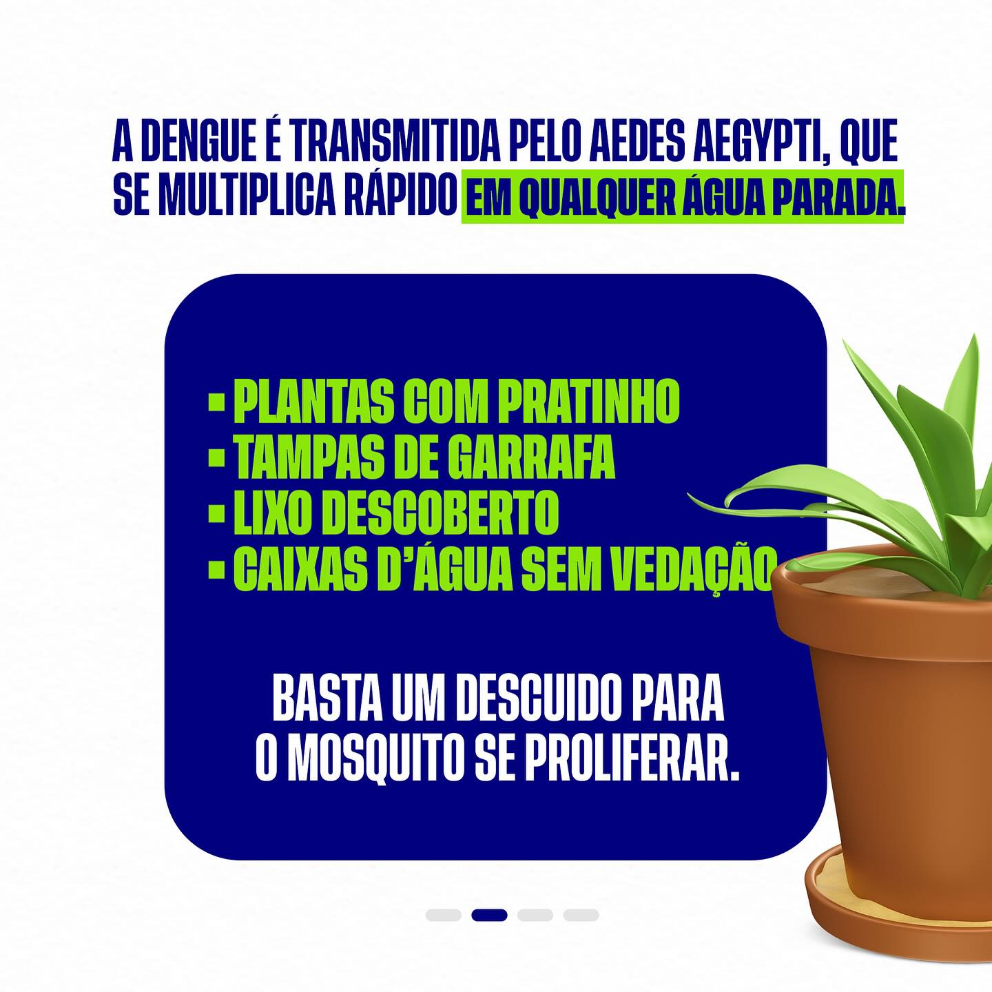 dengue