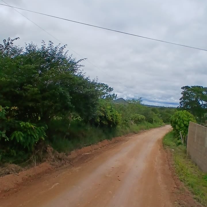 estradas