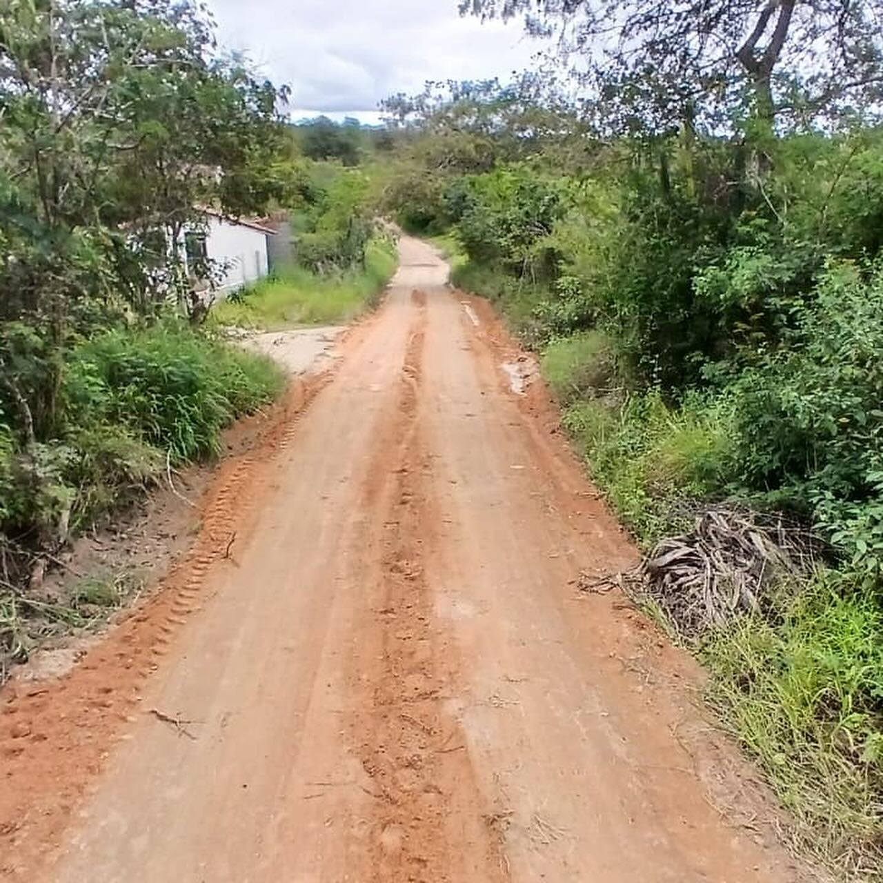 estradas