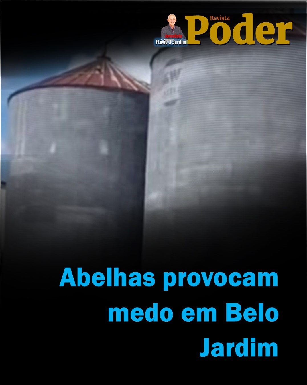 Abelhas provocam medo em Belo Jardim