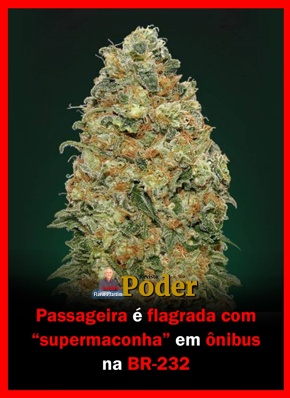 Passageira é flagrada com “supermaconha” em ônibus na BR-232