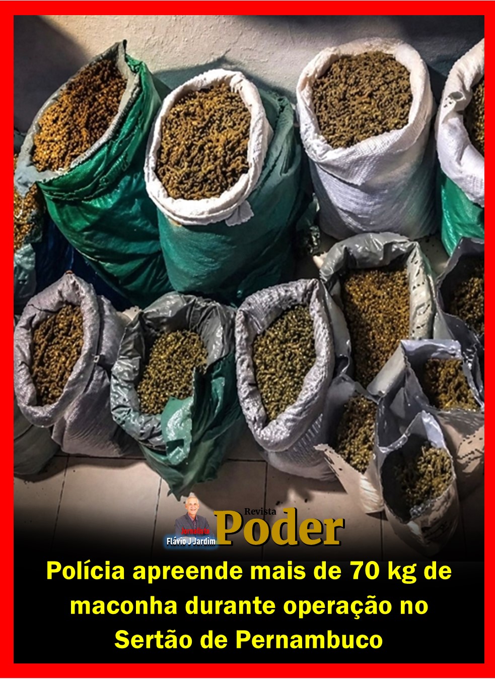 Polícia apreende mais de 70 kg de maconha durante operação no Sertão de Pernambuco