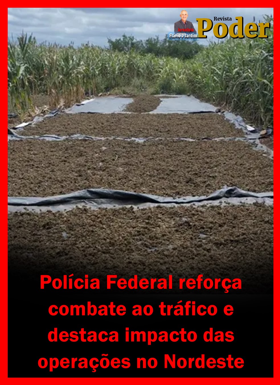 Polícia Federal reforça combate ao tráfico e destaca impacto das operações no Nordeste