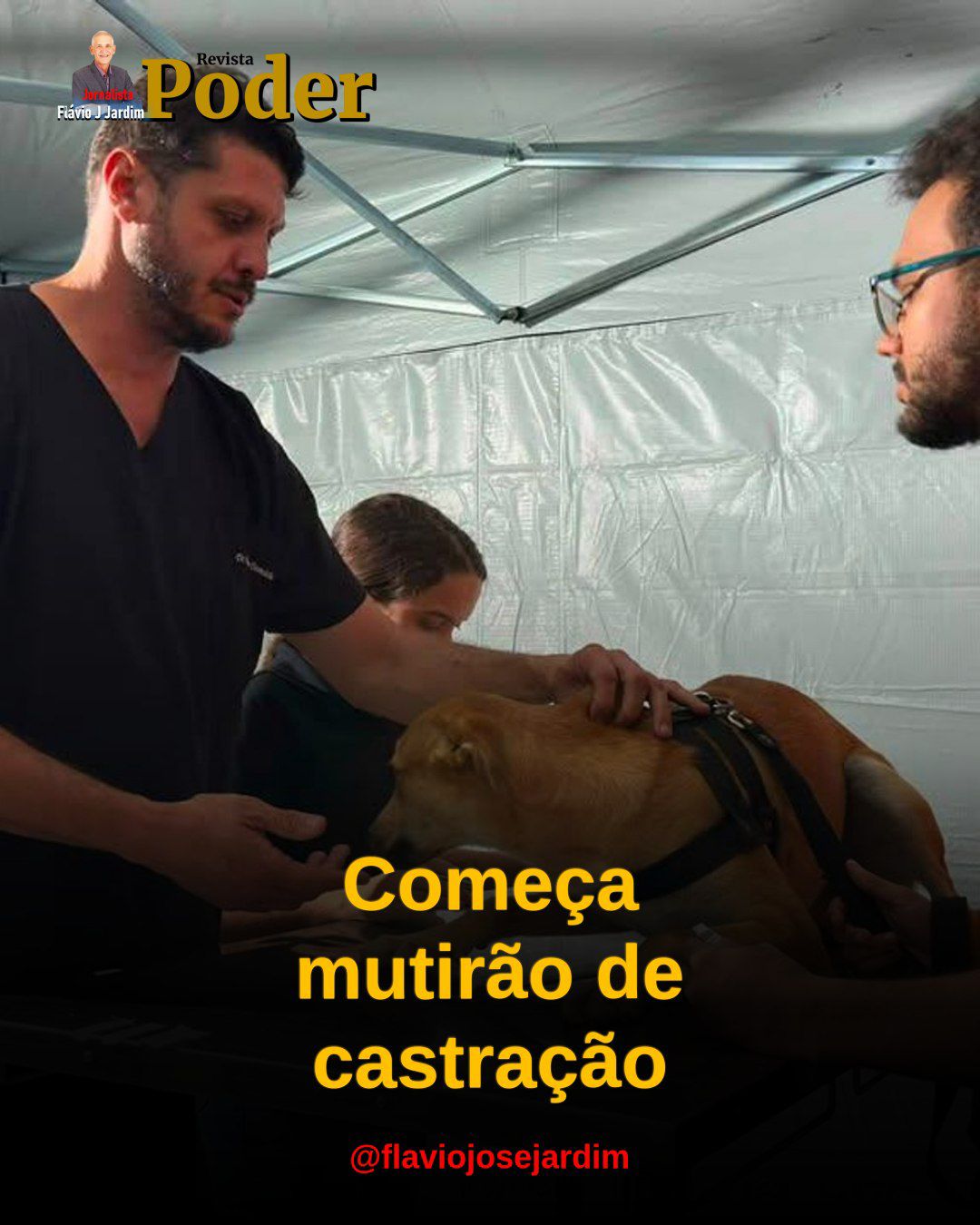 Primeiro dia do Mutirão de Castração Gratuita movimenta tutores em Pesqueira