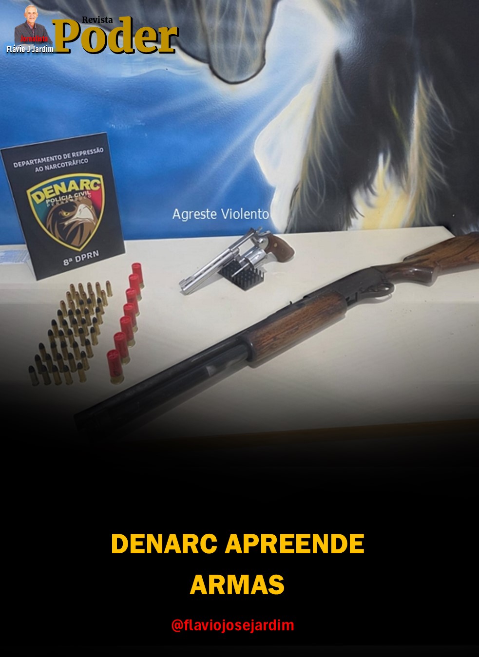 DENARC APREENDE ARMAS