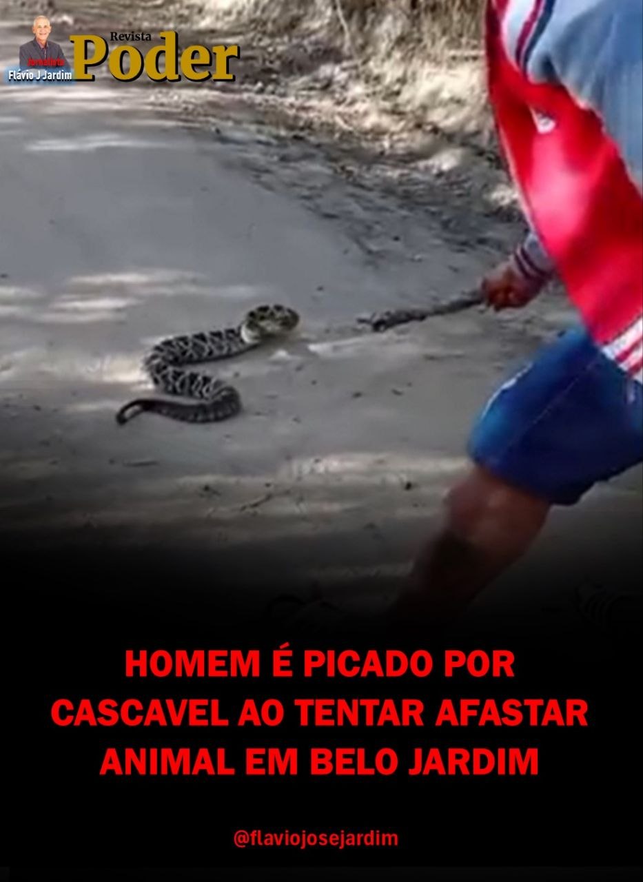 HOMEM É PICADO POR CASCAVEL AO TENTAR AFASTAR ANIMAL EM BELO JARDIM