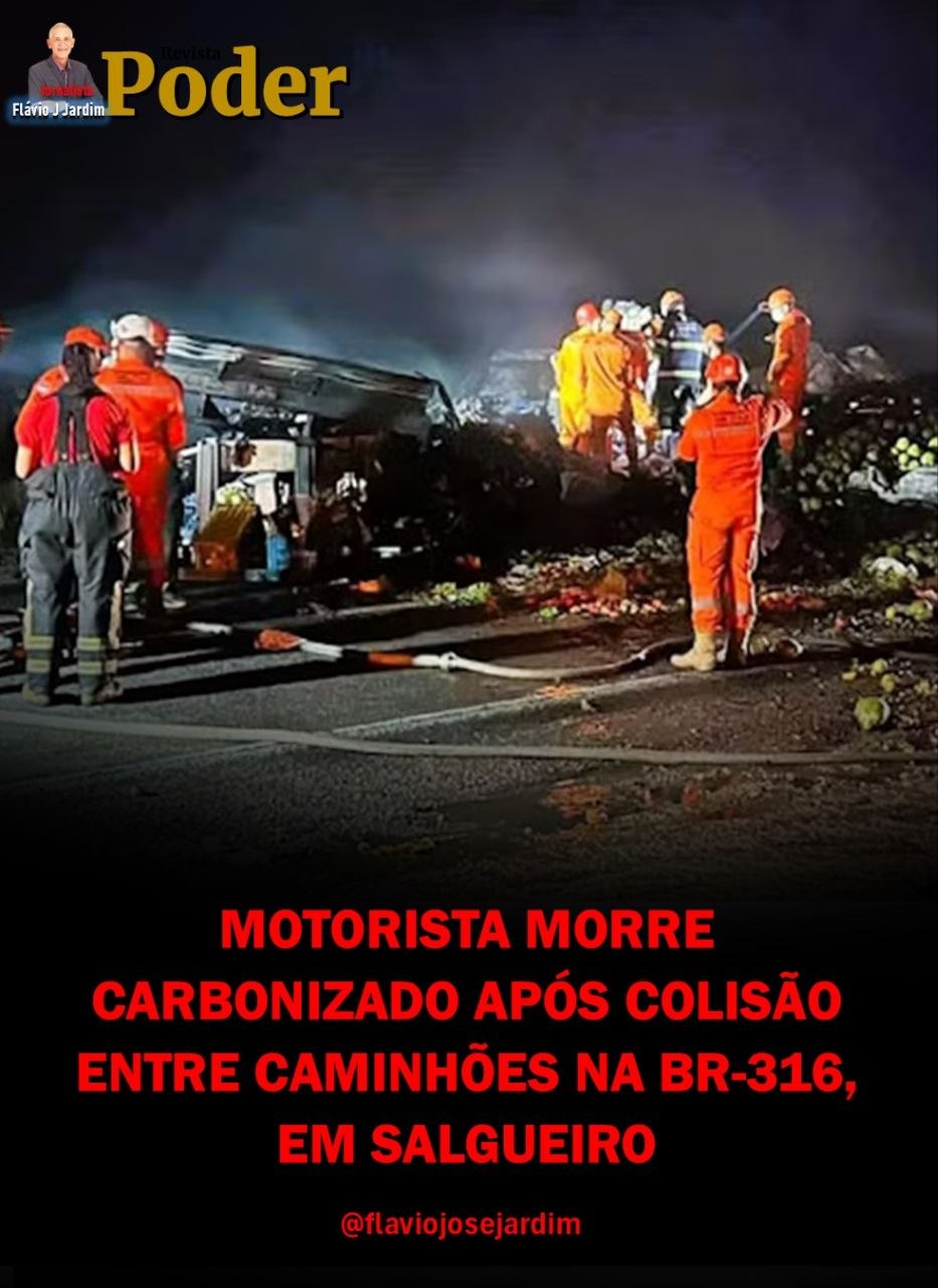 MOTORISTA MORRE CARBONIZADO APÓS COLISÃO ENTRE CAMINHÕES NA BR-316, EM SALGUEIRO
