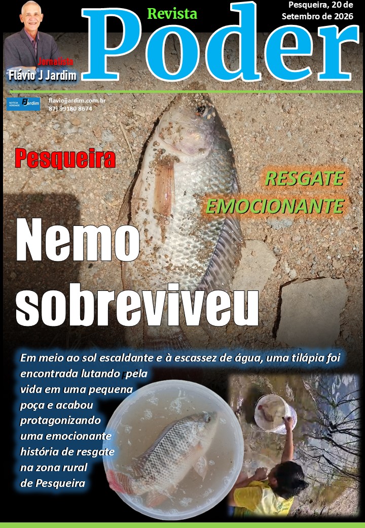 PESQUEIRA | Nemo: o peixe que venceu a seca e ganhou uma nova chance de viver