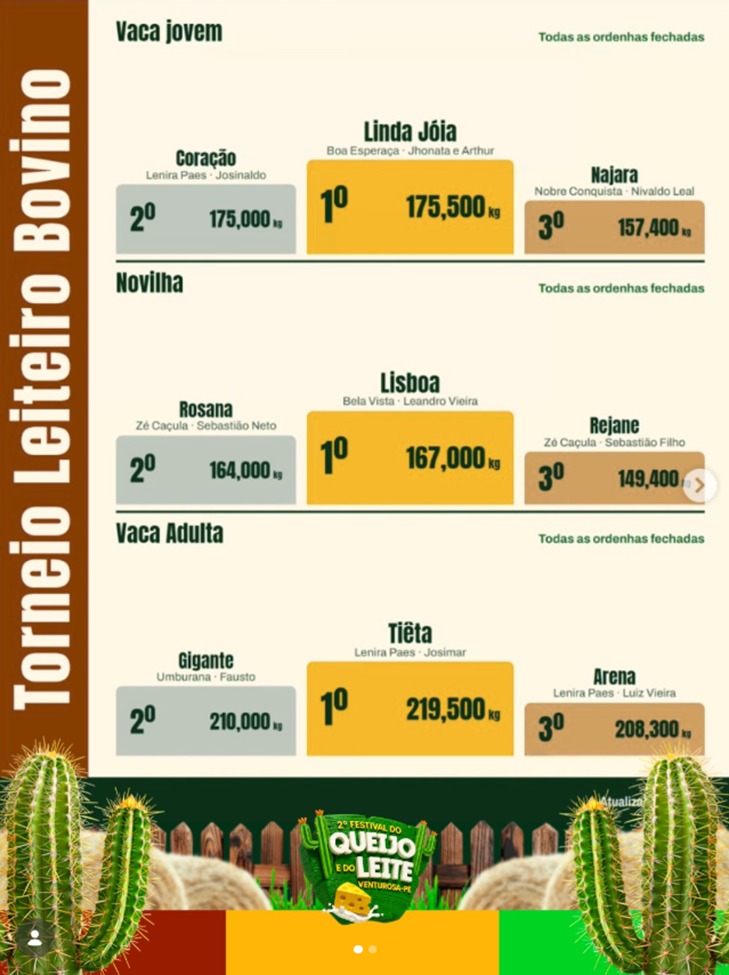 VENCEDORES