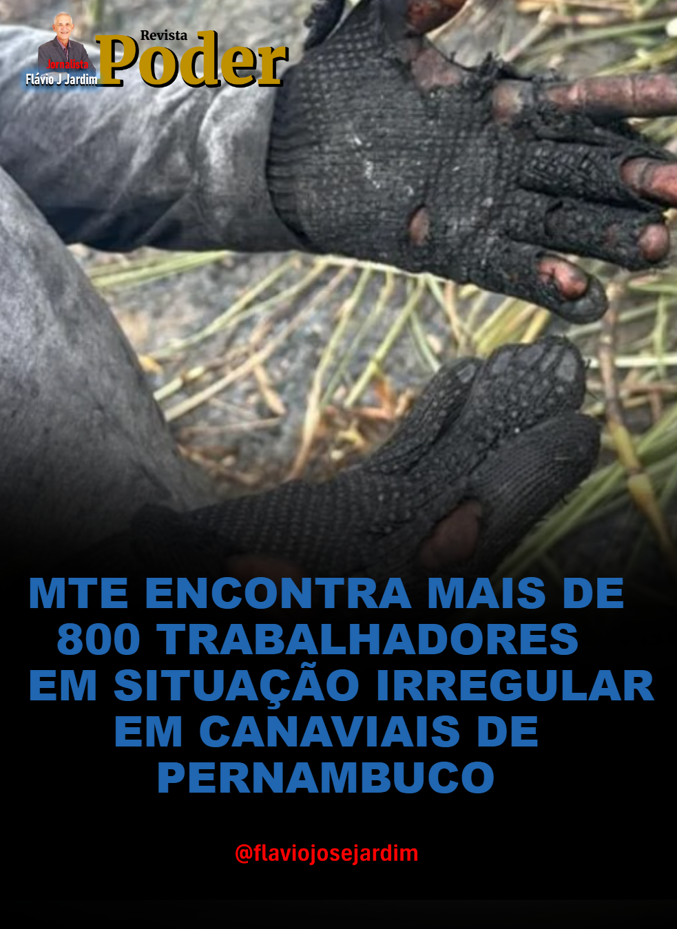 MTE ENCONTRA MAIS DE 800 TRABALHADORES EM SITUAÇÃO IRREGULAR EM CANAVIAIS DE PERNAMBUCO