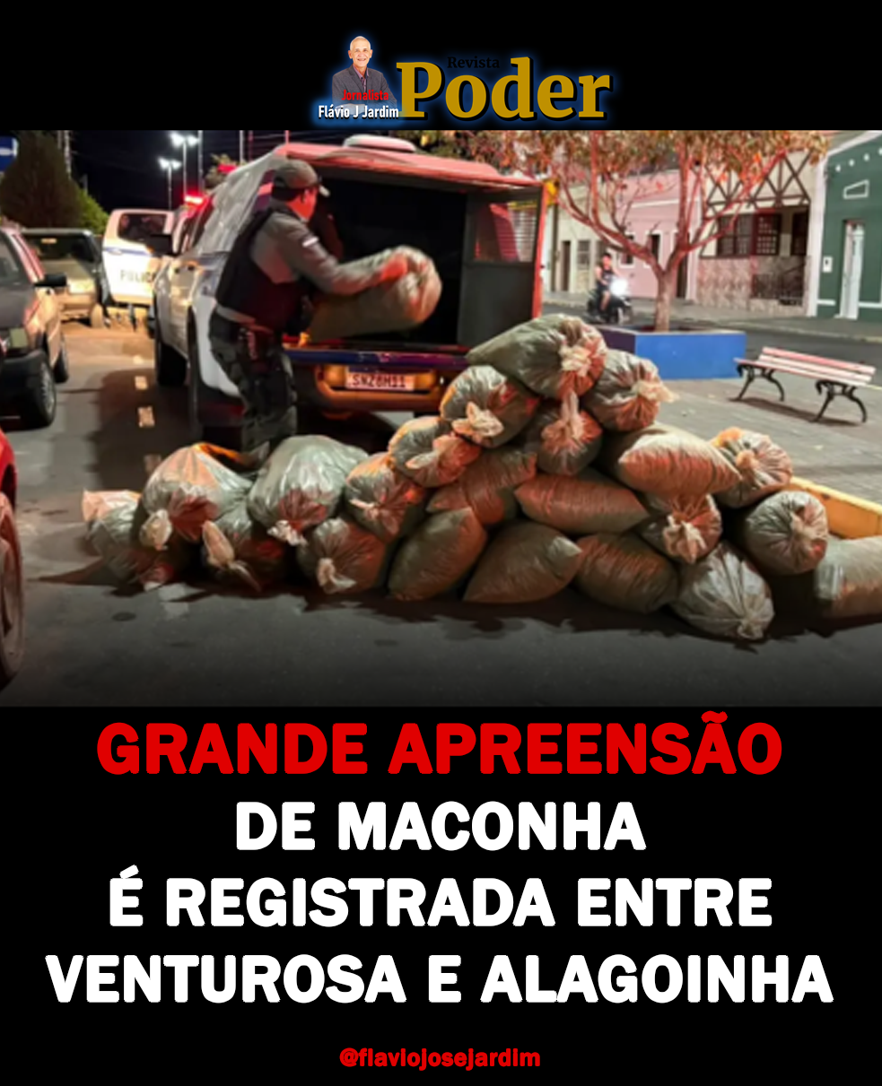 GRANDE APREENSÃO DE MACONHA É REGISTRADA ENTRE VENTUROSA E ALAGOINHA