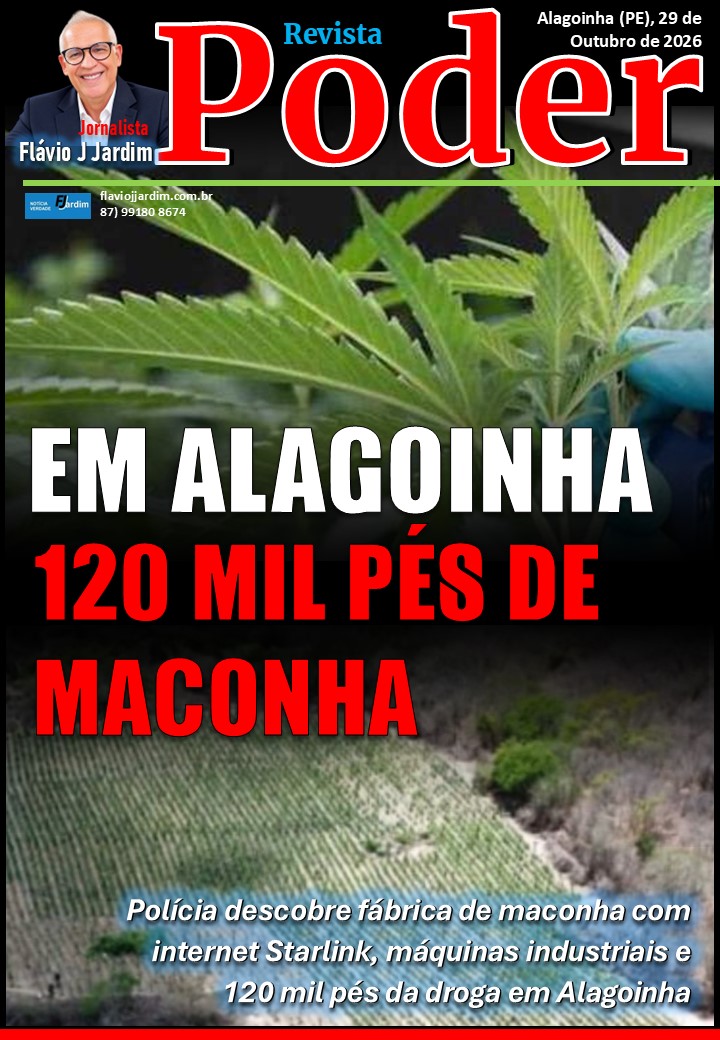 Polícia descobre fábrica de maconha com internet Starlink, máquinas industriais e 120 mil pés da droga em Alagoinha